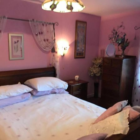 Cosy Cottage For Ecotourism Lovers Near Corwen Exteriér fotografie