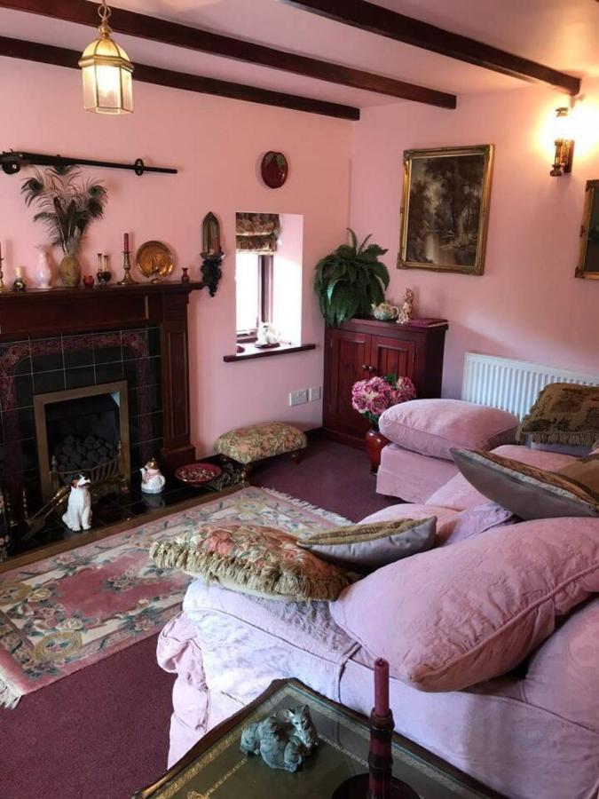 Cosy Cottage For Ecotourism Lovers Near Corwen Exteriér fotografie
