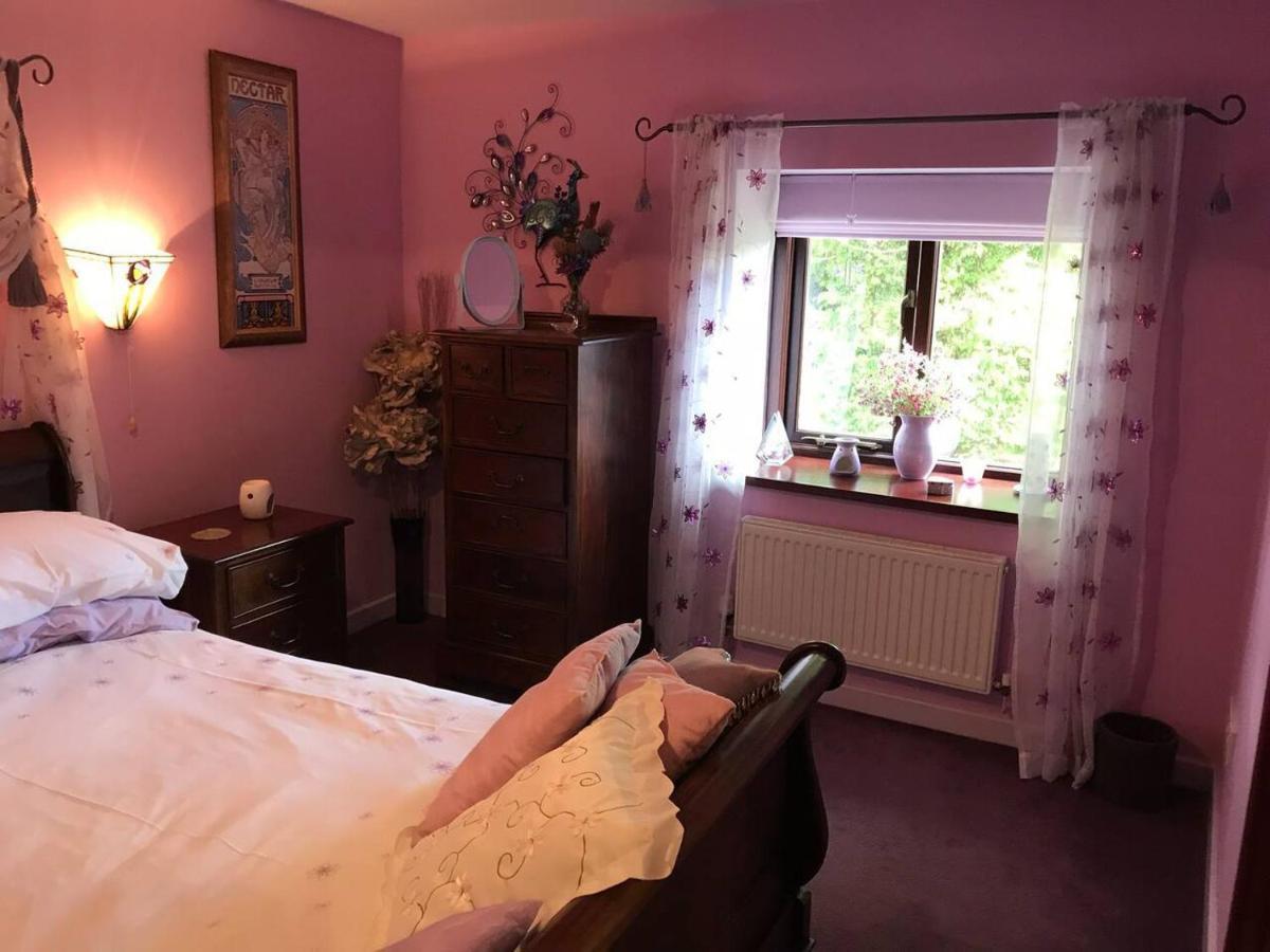 Cosy Cottage For Ecotourism Lovers Near Corwen Exteriér fotografie