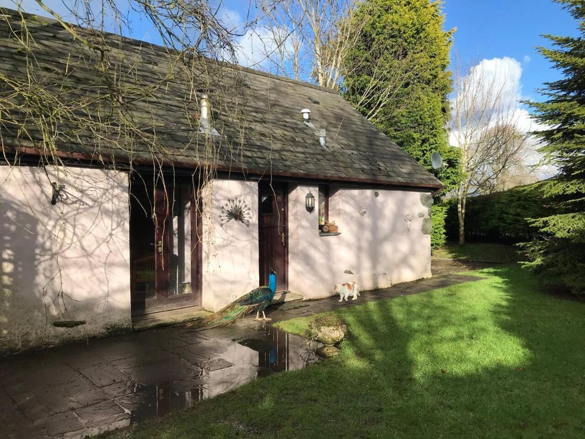 Cosy Cottage For Ecotourism Lovers Near Corwen Exteriér fotografie