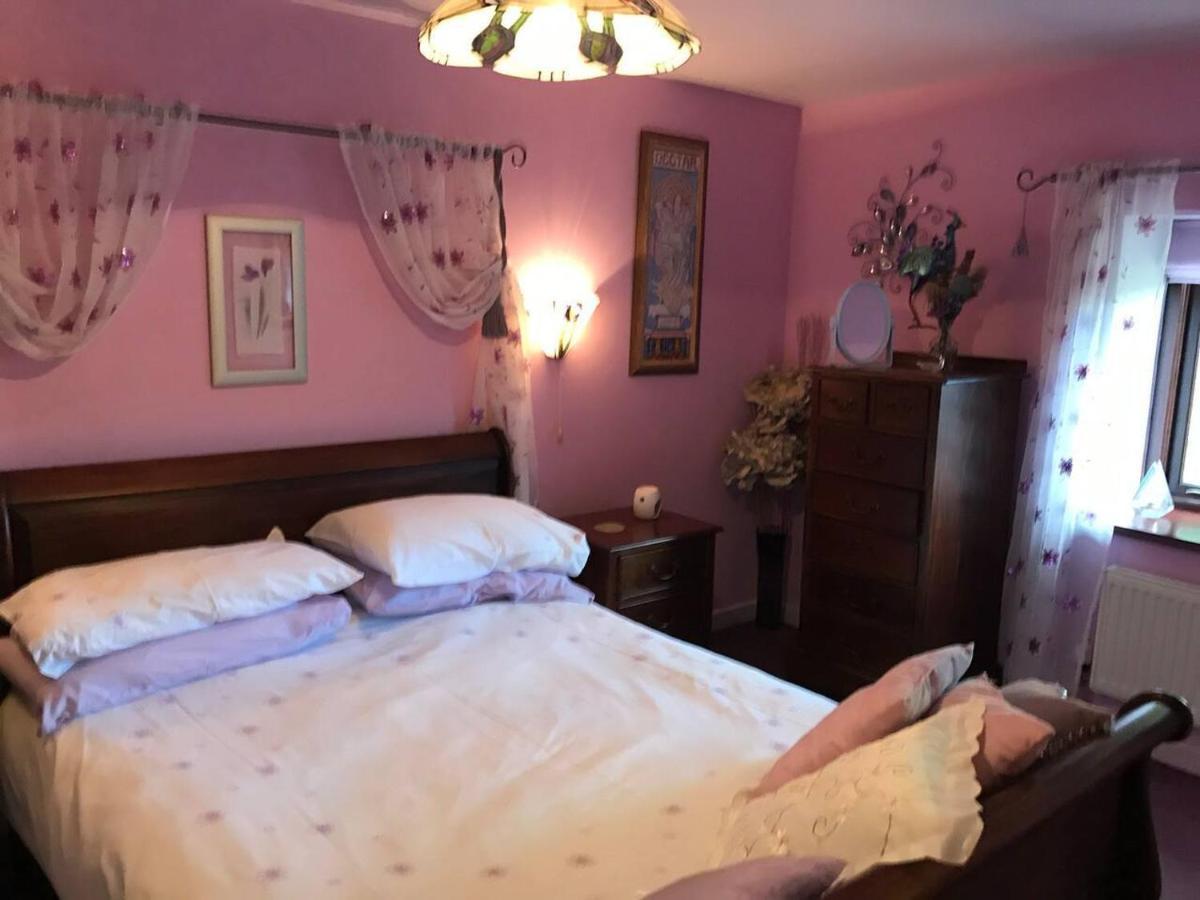 Cosy Cottage For Ecotourism Lovers Near Corwen Exteriér fotografie