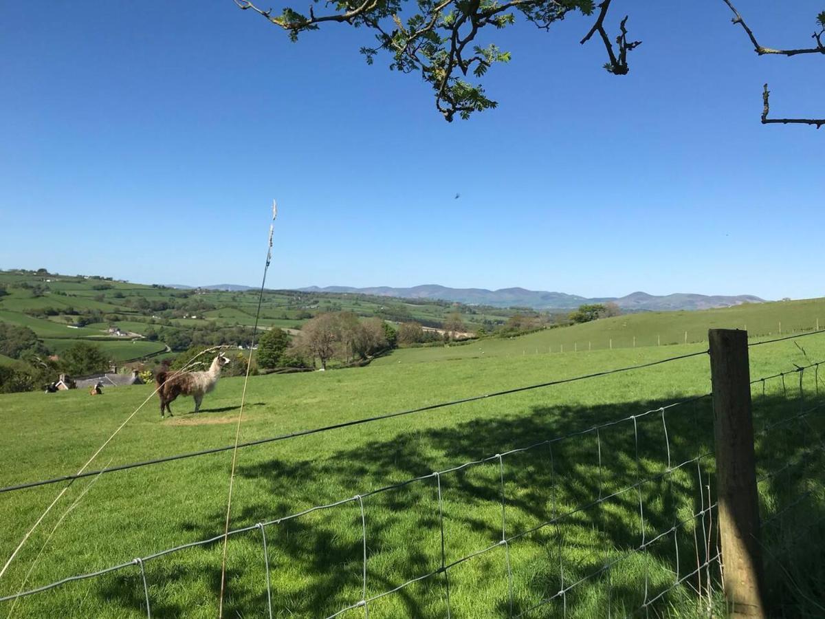 Cosy Cottage For Ecotourism Lovers Near Corwen Exteriér fotografie